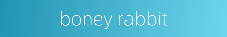 boney rabbit的同义词