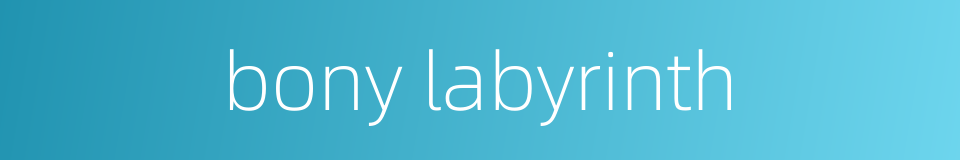 bony labyrinth的同义词