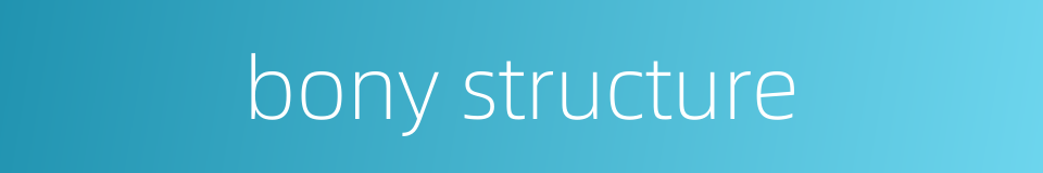 bony structure的同义词