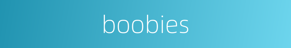 boobies的同义词