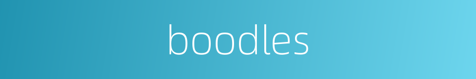 boodles的同义词