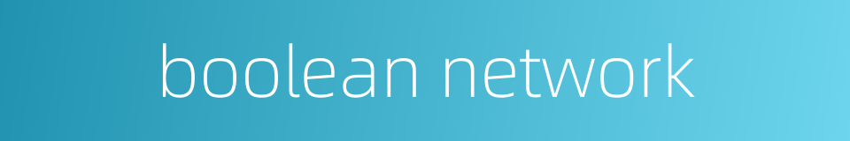boolean network的同义词