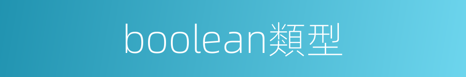 boolean類型的同義詞