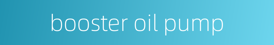 booster oil pump的同义词