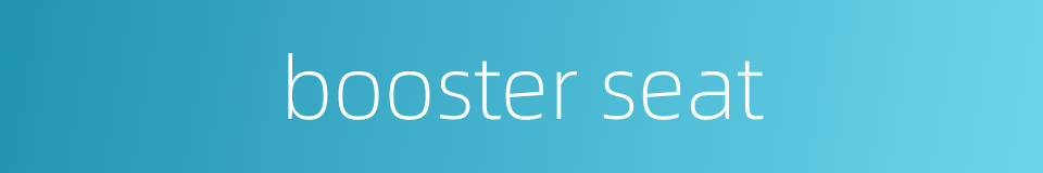 booster seat的同义词