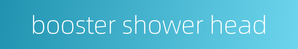 booster shower head的同义词
