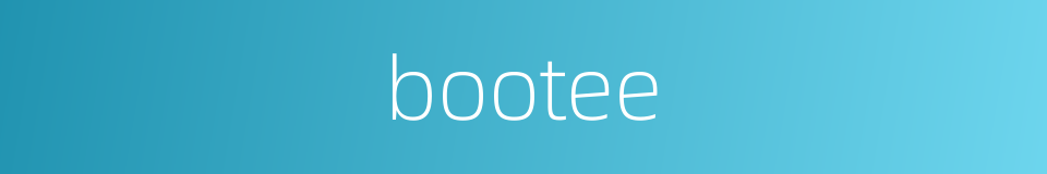 bootee的同义词
