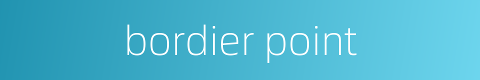 bordier point的同义词