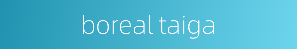 boreal taiga的同义词