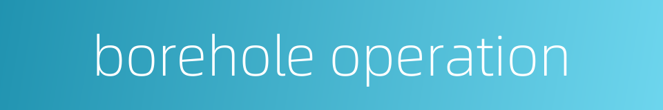 borehole operation的同义词