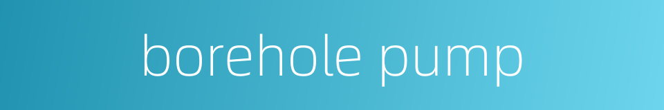 borehole pump的同义词