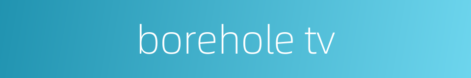 borehole tv的同义词