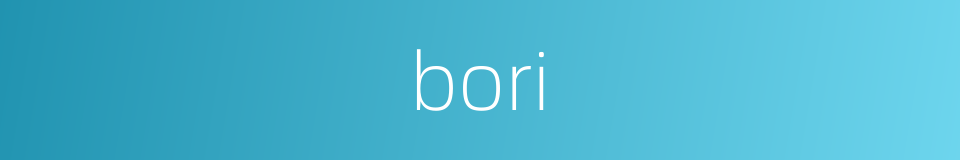 bori的同义词