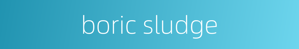 boric sludge的同义词