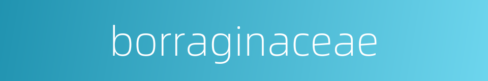 borraginaceae的同义词