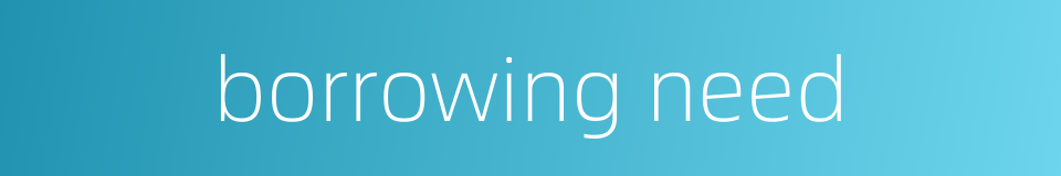 borrowing need的同义词