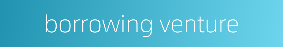 borrowing venture的同义词