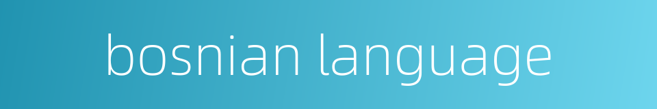 bosnian language的同义词