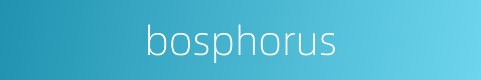 bosphorus的同义词