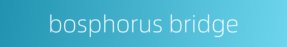 bosphorus bridge的同义词