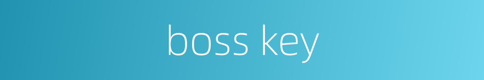 boss key的同义词