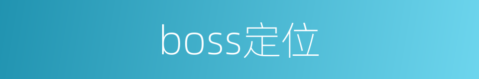 boss定位的同义词