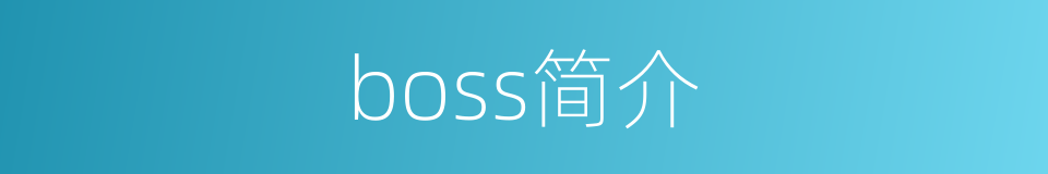 boss简介的同义词