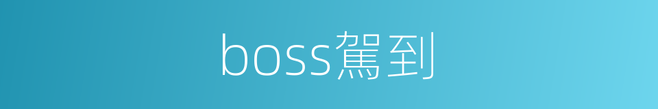 boss駕到的同義詞