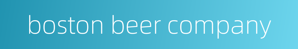 boston beer company的同义词