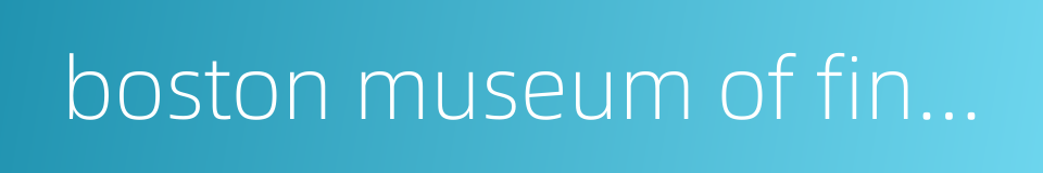 boston museum of fine arts的同义词