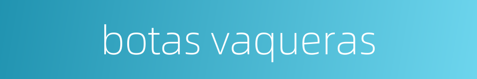 botas vaqueras的同义词