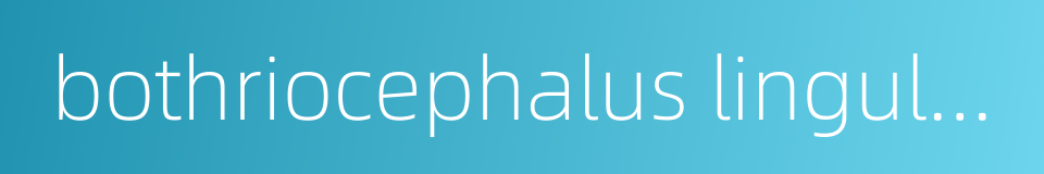 bothriocephalus linguloides的同义词