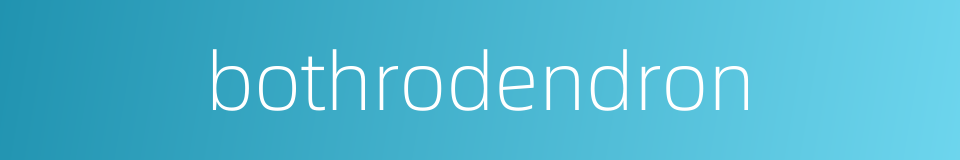 bothrodendron的同义词