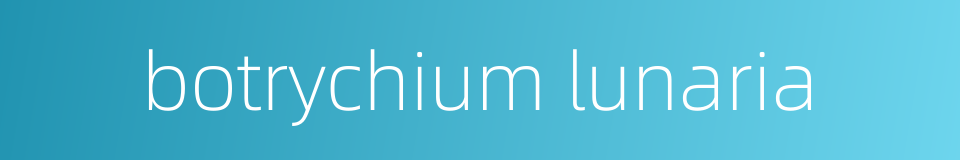 botrychium lunaria的同义词