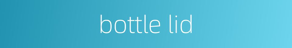 bottle lid的同义词