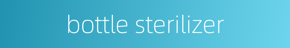 bottle sterilizer的同义词