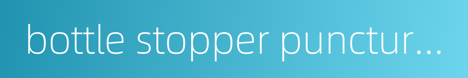 bottle stopper puncture device的同义词