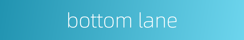 bottom lane的同义词