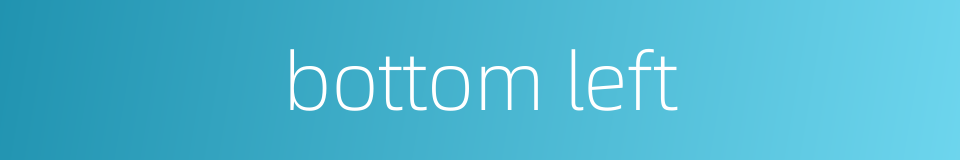bottom left的同义词