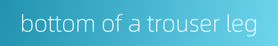 bottom of a trouser leg的同义词
