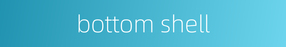 bottom shell的同义词