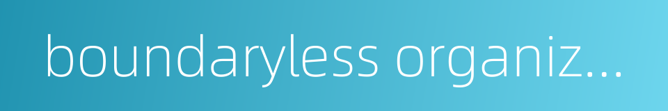 boundaryless organization的同义词