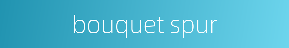 bouquet spur的同义词