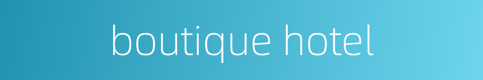 boutique hotel的同义词