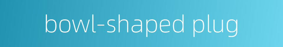 bowl-shaped plug的同义词