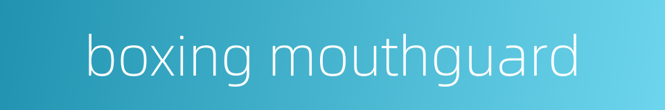 boxing mouthguard的同义词