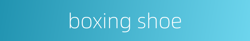boxing shoe的同义词