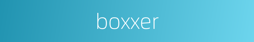 boxxer的同义词