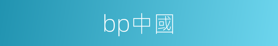 bp中國的同義詞