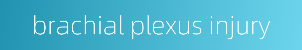 brachial plexus injury的同义词